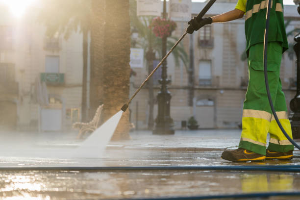 Best Roof Washing  in River Ridge, FL