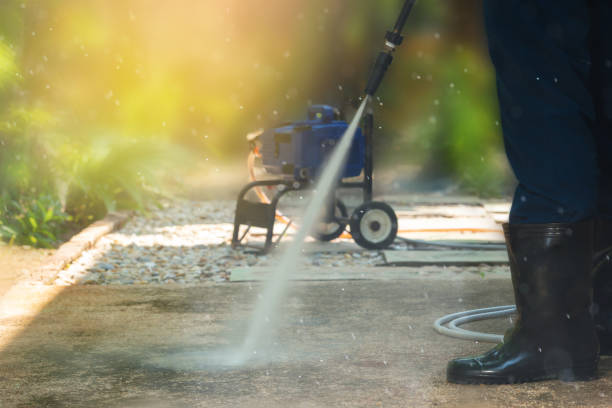 Best Patio and Deck Pressure Washing  in River Ridge, FL